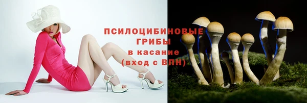 кокс Покачи