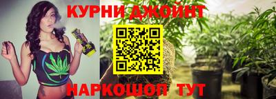 a pvp Донской