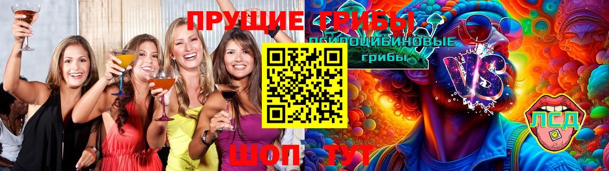 Псилоцибиновые грибы Psilocybe Кирово-Чепецк