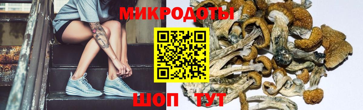 Псилоцибиновые грибы MAGIC MUSHROOMS  Псилоцибиновые грибы Cubensis  Кирово-Чепецк 